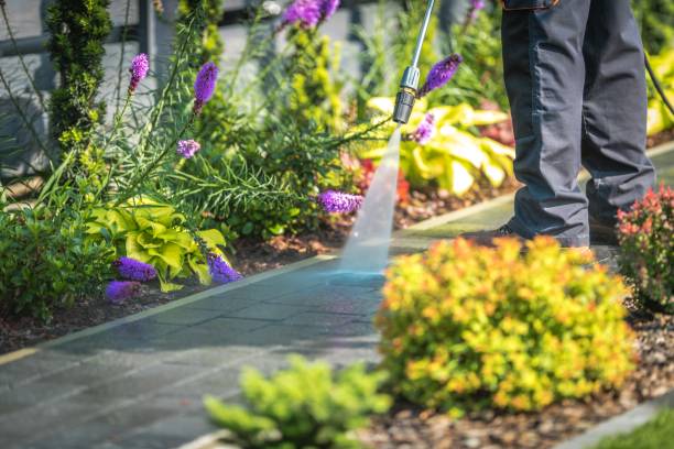 Best Gutter Cleaning  in Prosper, TX